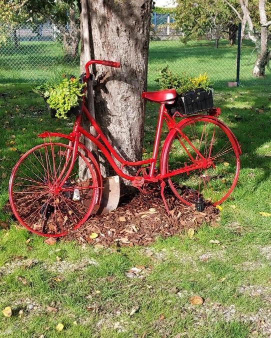 Gite Au Pommier Fleuri Et Son "Appart" Independant Drusenheim Dış mekan fotoğraf