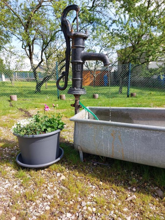 Gite Au Pommier Fleuri Et Son "Appart" Independant Drusenheim Dış mekan fotoğraf