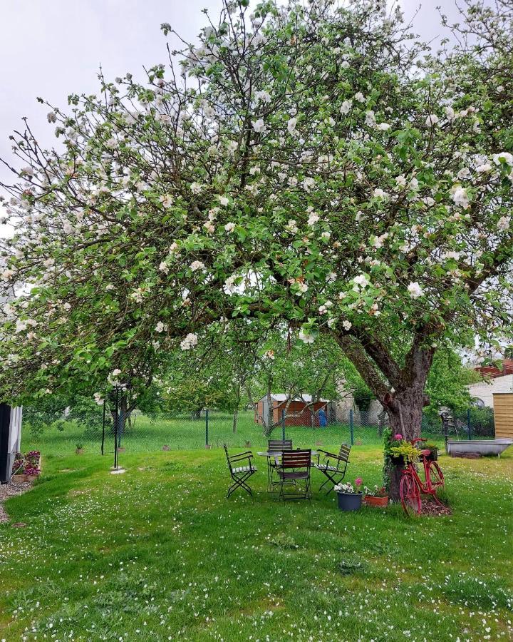 Gite Au Pommier Fleuri Et Son "Appart" Independant Drusenheim Dış mekan fotoğraf